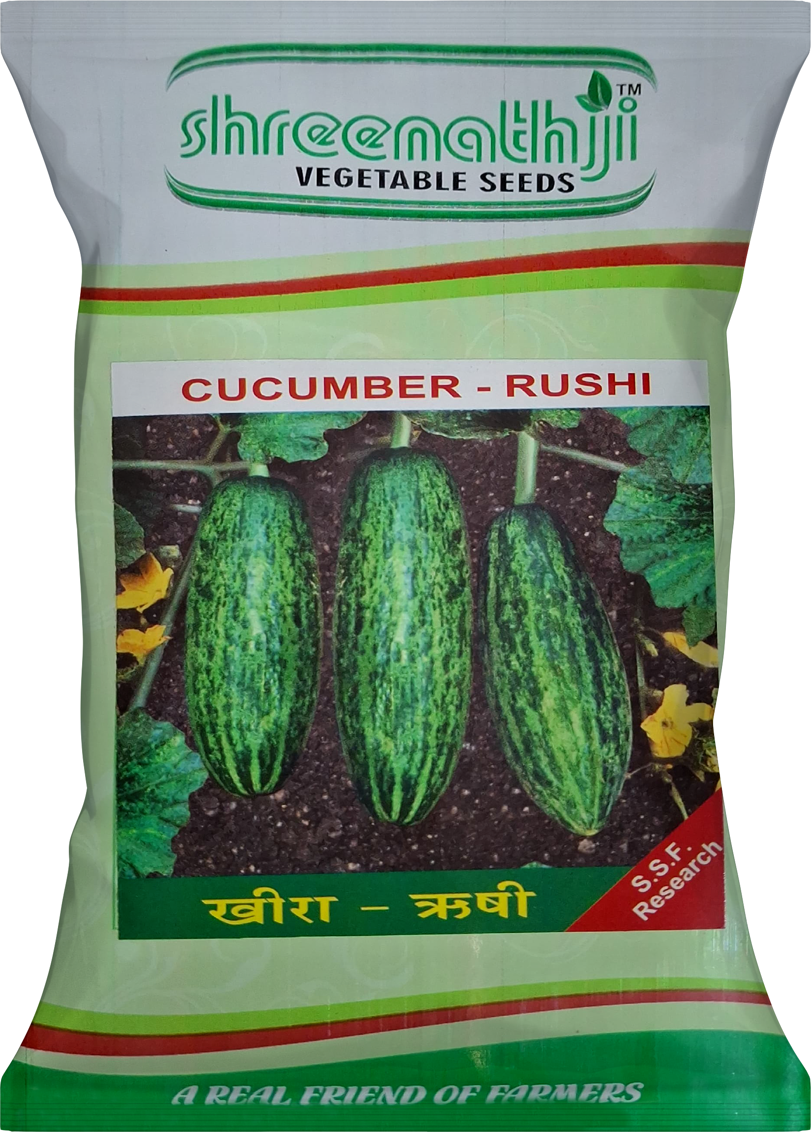 ચીભડા ઋષિ